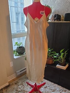 NWT Satin Slip Maxi Dress in Champagne